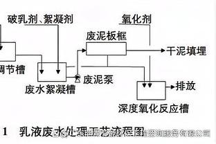 丰臻：国足换帅的话是不能土帅，用在中超执教的外教是个选择